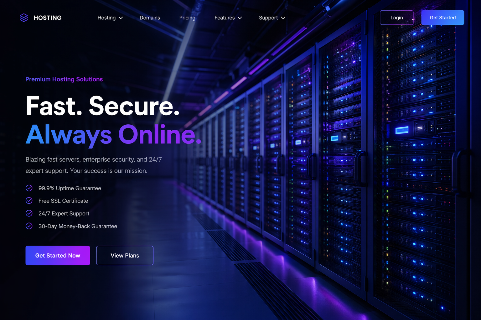 Web Hosting